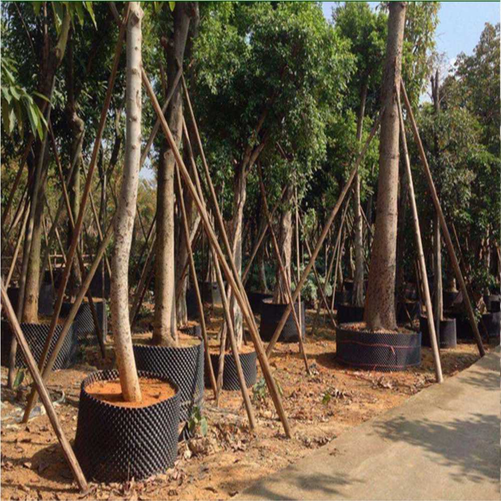Alat Transplantasi Tanaman Bon - Nursery ulasan dan harga